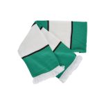 WackyStash - Green and White Scarf