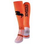 Bright Rider 4 for 3 Pairs Saver Pack Equestrian Horse Riding Socks